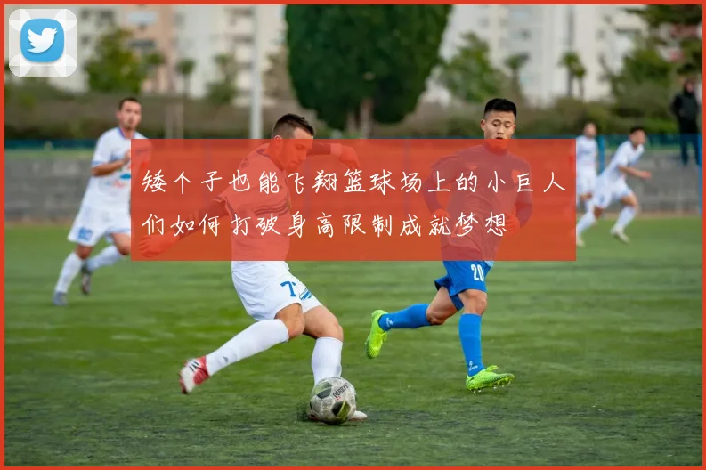 矮个子也能飞翔篮球场上的小巨人们如何打破身高限制成就梦想