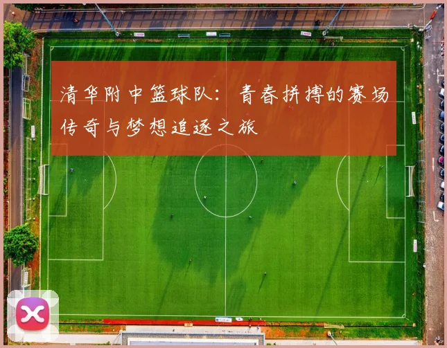 清华附中篮球队：青春拼搏的赛场传奇与梦想追逐之旅