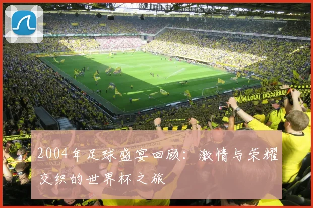2004年足球盛宴回顾：激情与荣耀交织的世界杯之旅